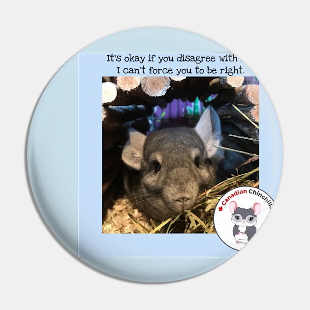 Disagreeing with chinchilla Pin by canchinrescue