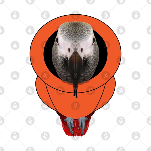 African Grey Parrot Hoodie by African Grey Parrot Gear