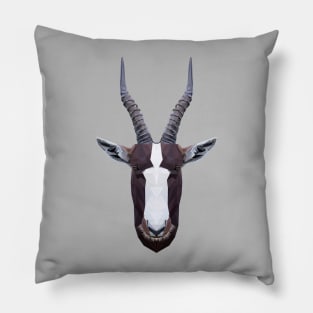 Bontebok Pillow