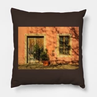 Door and Window in Buzet, Croatia Pillow