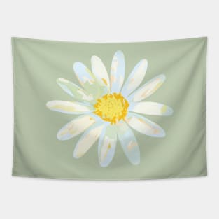 Bellis perennis Tapestry