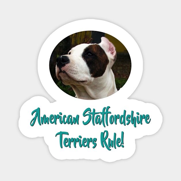 American Staffordshire Terriers Rule! Magnet by Naves