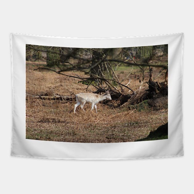 Deer Tapestry by Jonesyinc