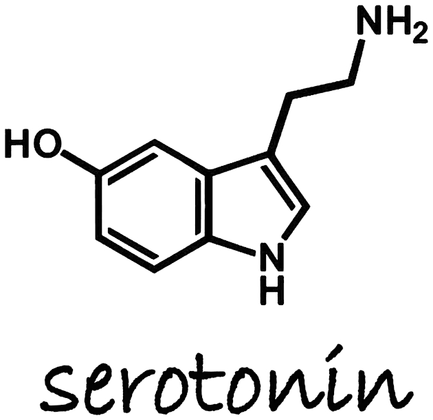 Serotonin Kids T-Shirt by valentinahramov