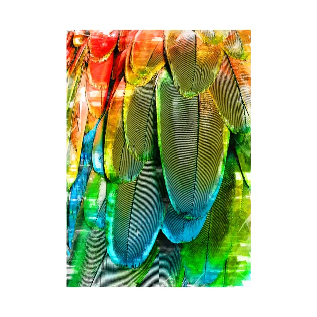 ChromaticBird Feather Abstract Pattern. For Feather & Bird Lovers. by ColortrixArt