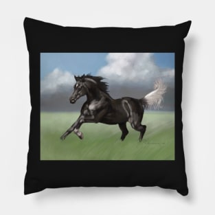 Black Arabian with Gulastra Plume Pillow