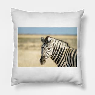 Zebra portrait in golden grass. Pillow