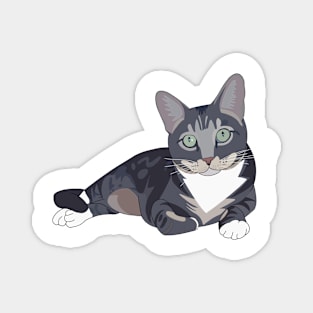 Gray tabby cat Magnet