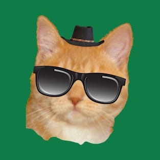 Cat in a hat and sunglasses T-Shirt