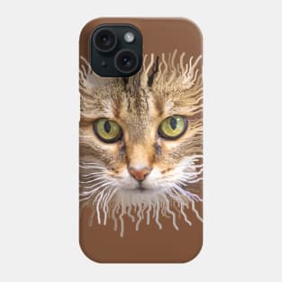 Lion cat Phone Case