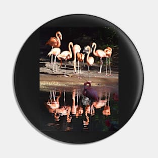 Caribbean Flamingo Pin