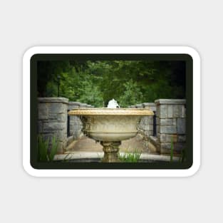 Fountain in the Garden Magnet