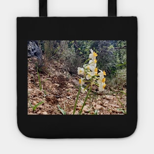 White Wild Narcissus Flower Tote