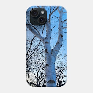 White Birch Tree Phone Case
