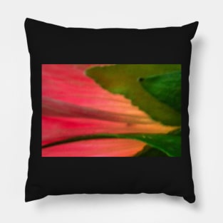 Hollyhock #10 abstract #1 Pillow