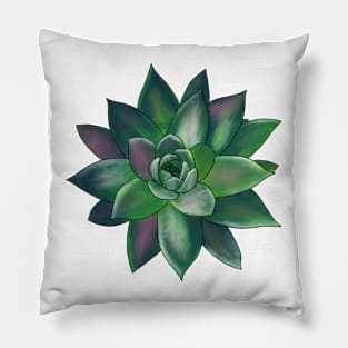 Colorful Succulent - Green and Pink Pillow