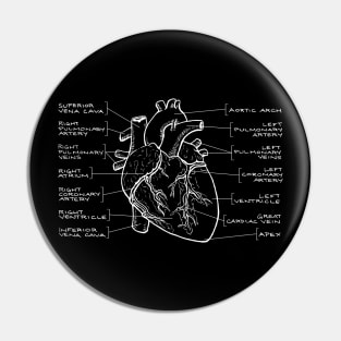 Anatomical Heart Diagram (White Text) Pin