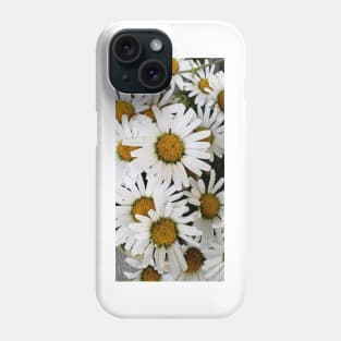 Bouquet of daisies in the garden Phone Case