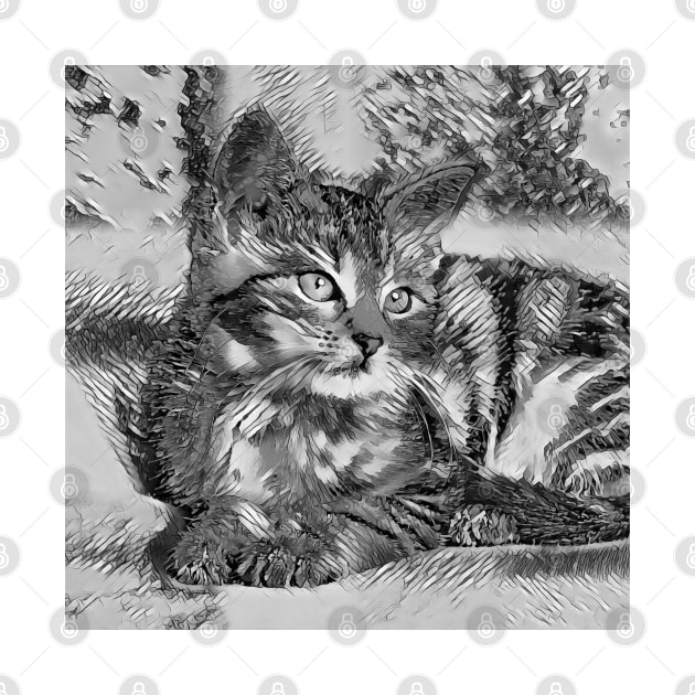 AnimalArtBW Cat 005 by JAMFoto