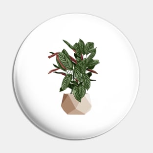 Calathea Freddie Plant Pin