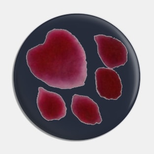 Paw Print Pin