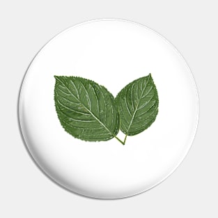 Two green leaves Pin