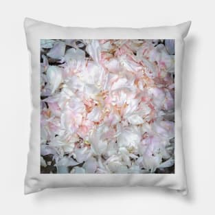 Peony Pillow