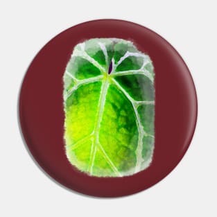 Unique and organic watercolour of a Anthurium red crystallinum seedling Pin