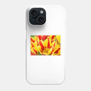 Tulipa  &#39;Colour Spectacle&#39;   Single Late Multi-flowered tulip Phone Case