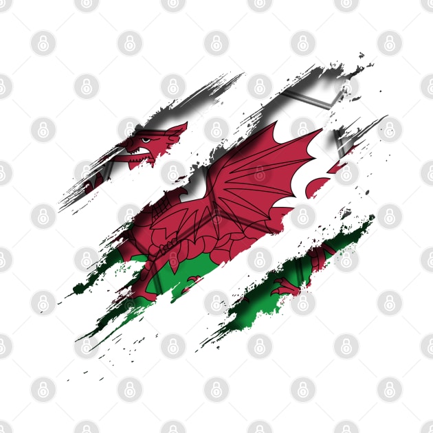 Wales Football by blackcheetah