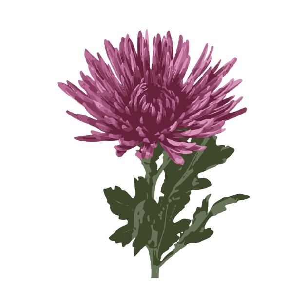 Purple Chrysanthemum by EmDash