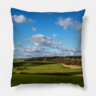 Views of Wiltshire. Pillow