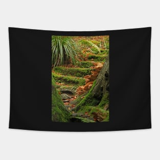 Fungus Steps Tapestry