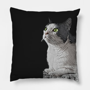 White and black Cat, sitting Pillow