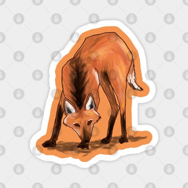 Maned wolf (Chrysocyon brachyurus) Magnet by wrsartist