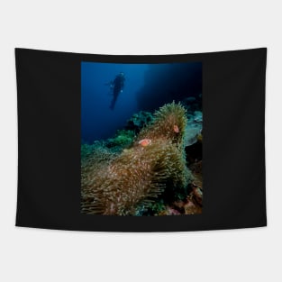 A Diver Looks On At Two Clownfish in Indonesia Tapestry