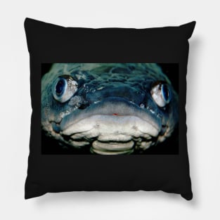Grumpy Fish Pillow