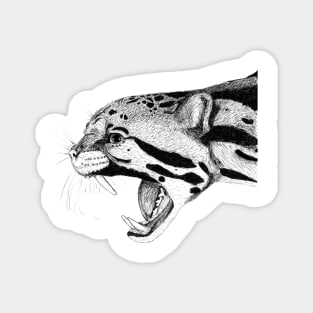 Clouded Leoparrd Magnet