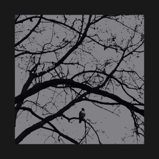 Halloween in black and gray; hawk raven vulture crow T-Shirt