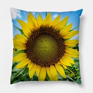 Sun-kissed Sunflower Pillow