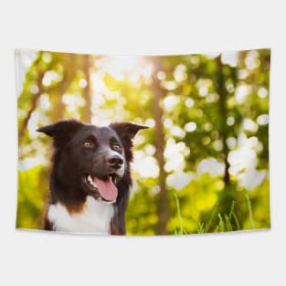 Border Collie Nature Portrait Tapestry