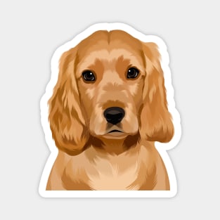 Cocker Spaniel Illustration Magnet