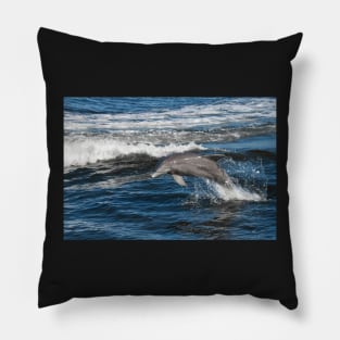 Dolphin Love Pillow