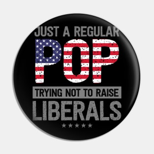 Regular Pop Raise Liberals USA Flag Father's Day Pin