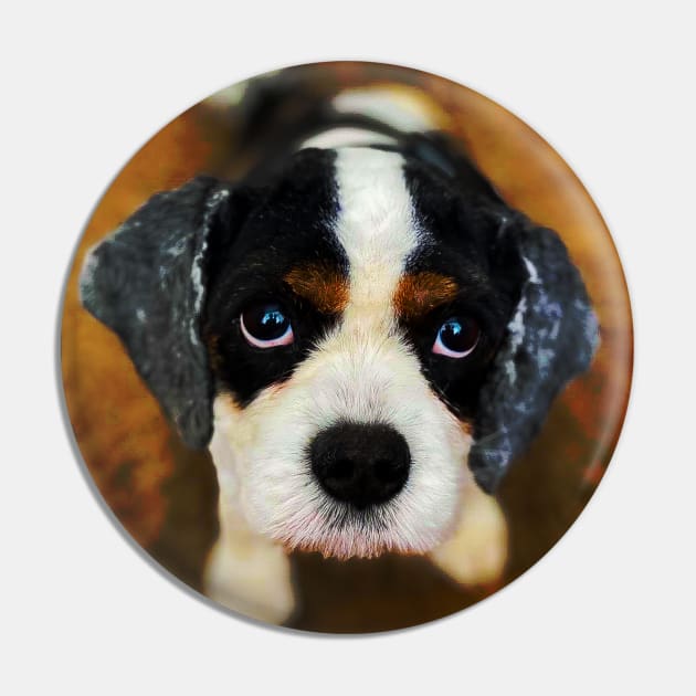Cavalier King's Charles Spaniel Pin by Reeceh