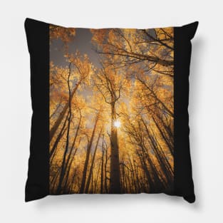 Sunburst Through Autumn Aspen Grove Pillow