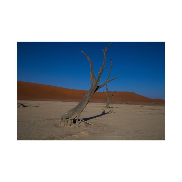 Fossilised tree in the Namibian Desert by HazelWright