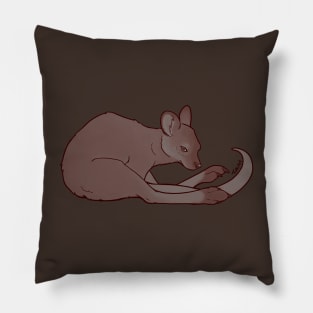 Weary Wallaby Pillow