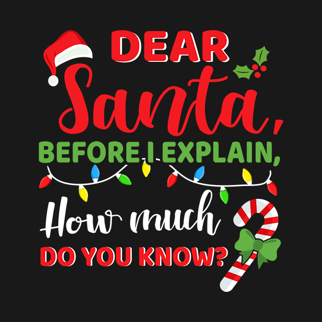 Funny santa before explain how much you know kids christmas by Designzz