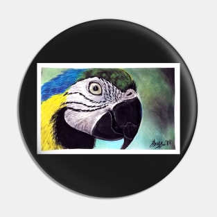 Macaw Pin